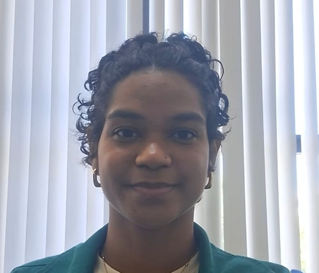 Emily Chayane Costa dos Santos