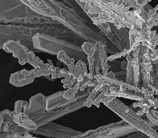 Microscopia Eletrônica de Varredura