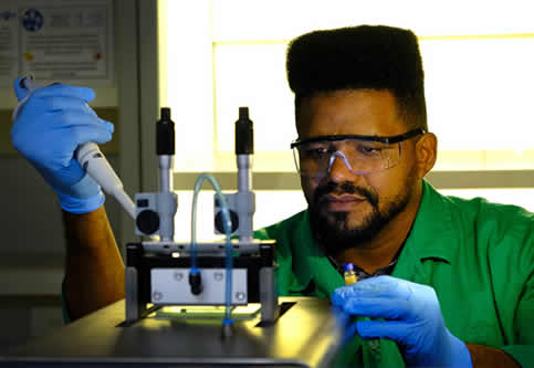 Células solares de perovskita
